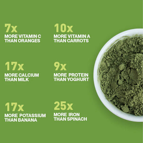 Moringa Powder